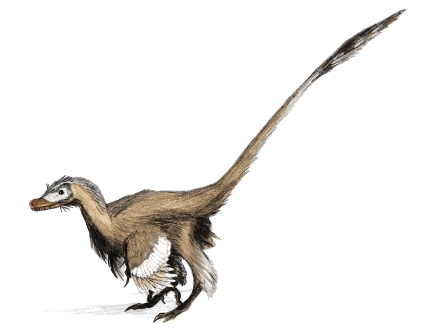  Illustration: Artist’s rendition of a Velociraptor